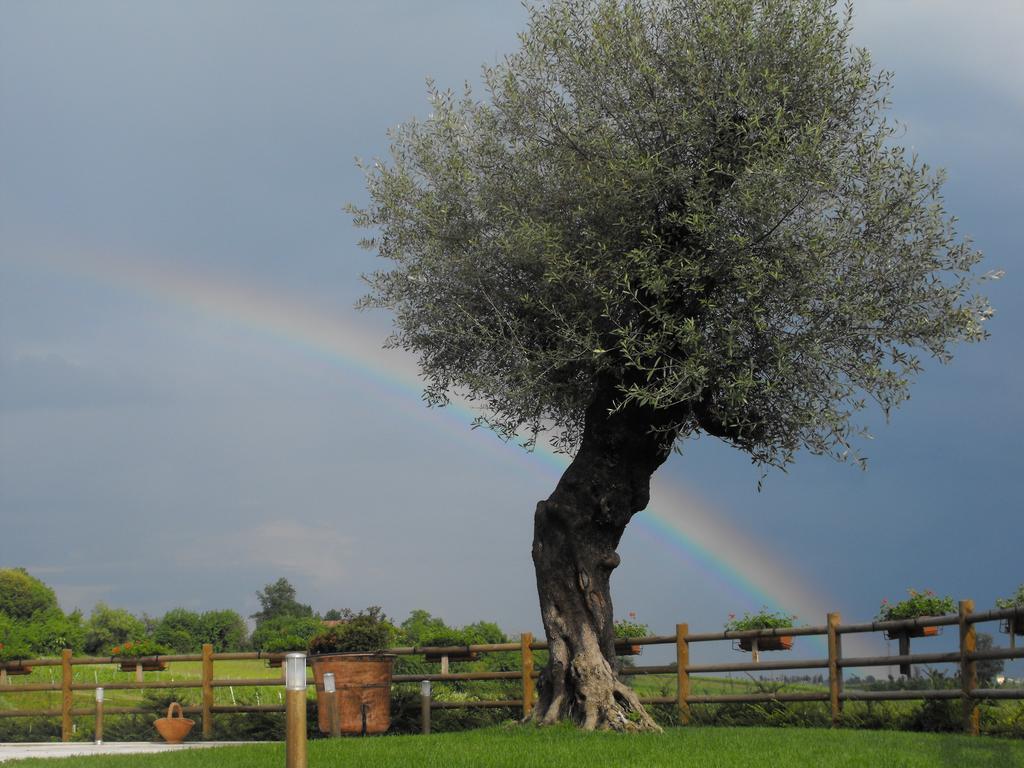 Agriturismo Althea Vittorio Veneto Bagian luar foto